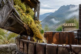 La cosa pi� eroica � avere una partita IVA: il racconto di 2 viticoltori tra le montagne della Garfagnana