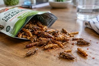 Ho provato snack di insetti, grilli e larve e sono stupito: il mio giudizio oggettivo su sapore e consistenza