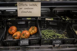 Pomodori a 8 euro, fagiolini fino a 11 euro, insalata introvabile: come riuscire a fare la spesa a buon prezzo prezzo
