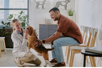 Quanto costa avere un cane? Dall'eventuale acquisto fino a tutte le spese da affrontare ogni anno