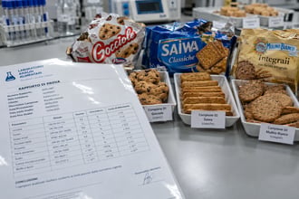 Analizzati 29 biscotti, 13 classici e 16 integrali: chi vince e perde tra Gocciole, Saiwa e Mulino Bianco secondo Il Salvagente