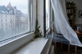Bollette alte, umido e muffa in casa: il sistema alla tedesca risolve tutto in 5 minuti ed � gratis