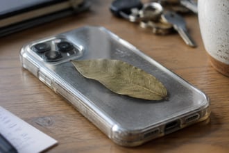 Foglia di alloro nella cover del telefono, 3 significati e un obiettivo del nuovo trend del momento: cosa dice la scienza