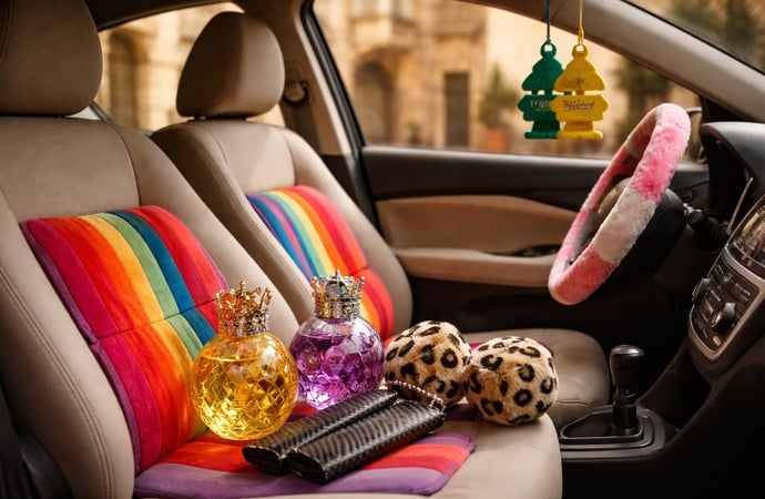 Accessori auto che sembrano innocui ma possono causare multe