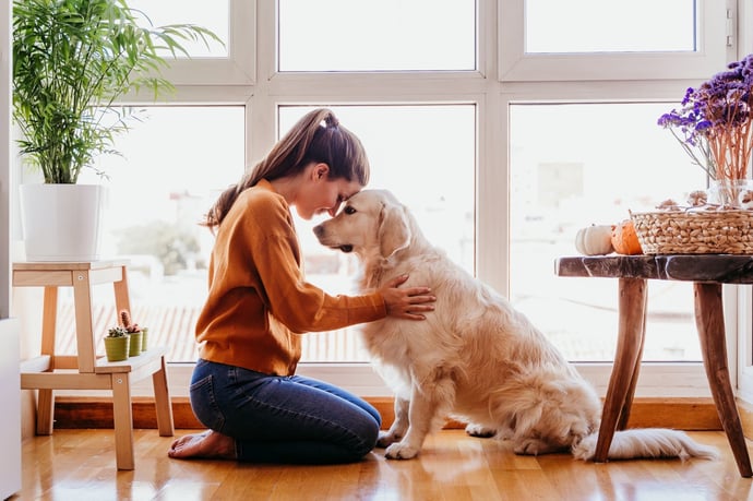 Agevolazioni e detrazioni per animali domestici 2024 dopo che bonus 900 euro � s
