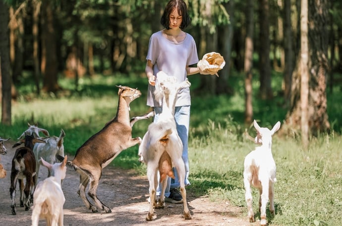 Agricoltura biodinamica sempre pi� in evidenza, i pro e contro secondo ultimi st