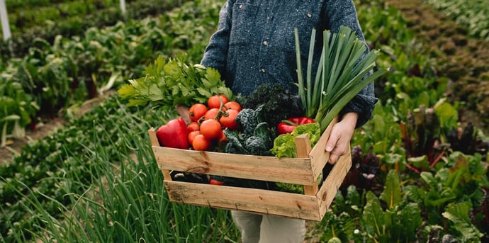 Incentivi, agevolazioni, bonus per aprire una azienda agricola nel 2024