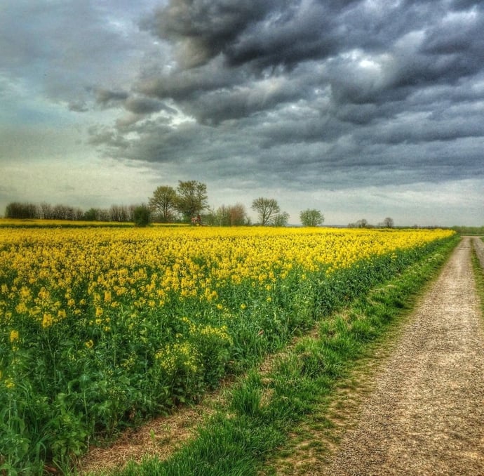 Che cos'� una strada vicinale e interpoderale? Significato, spiegazione ed esemp