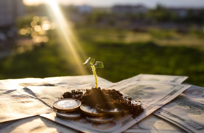 Chi deve aprire una partita iva agricola. Tutti i casi 2024