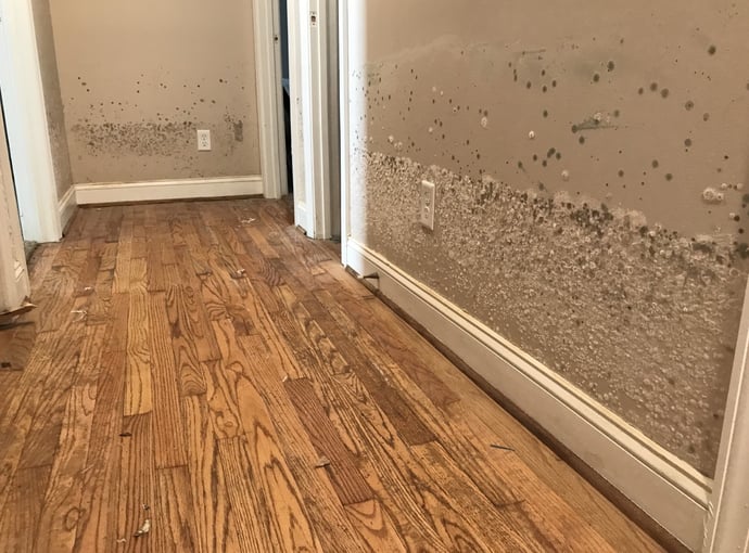 Risarcimento danni per casa allagata in condominio, chi li deve pagare?
