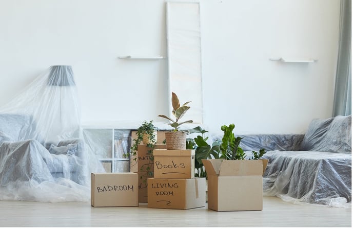 Come ampliare casa trasformando la cantina in un altro tipo di locale? Procedure