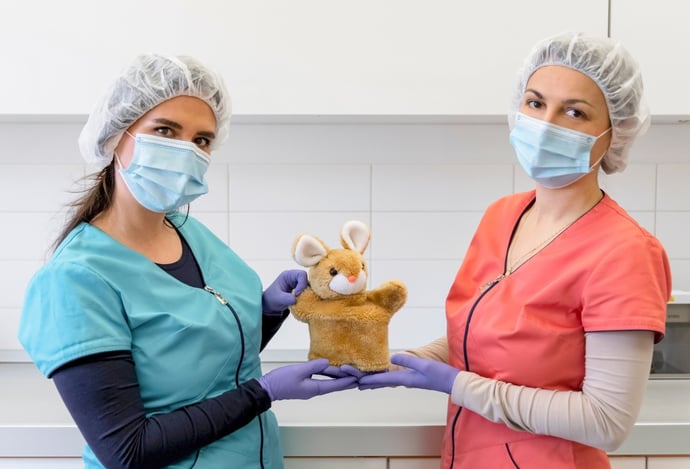 Come essere assunto in ospedale senza concorso per diverse tipologie di lavoro