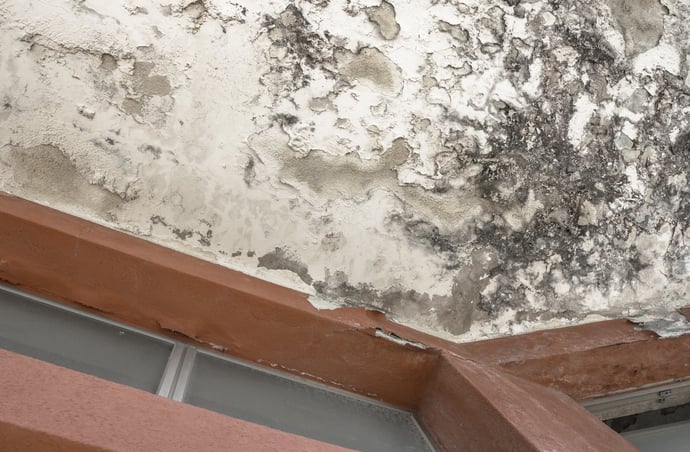 Come cercare se c'� una perdita d'acqua e trovarla e individuarla senza spaccare
