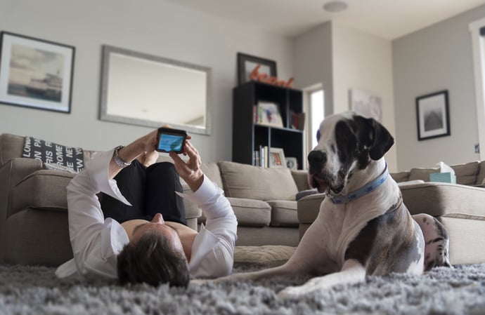 Come funziona la ricetta elettronica veterinaria