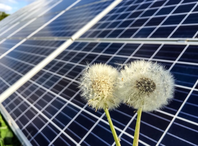 Come guadagnare con il fotovoltaico e quanto in media, oltre a risparmiare su bo