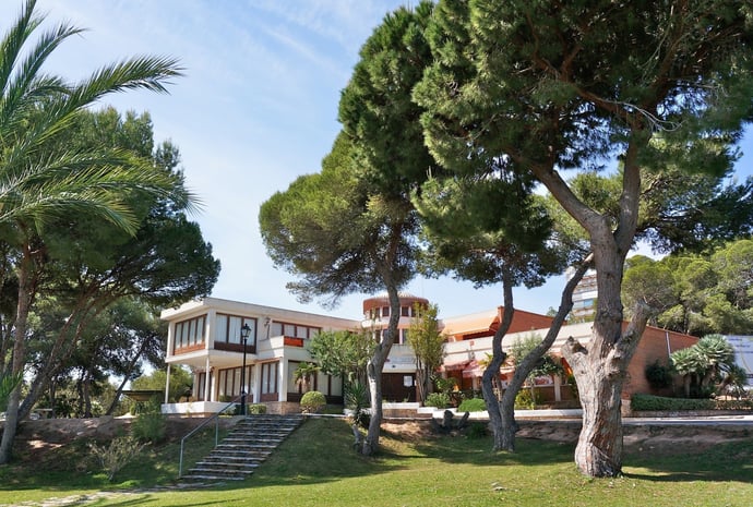 Come posso obbligare il mio vicino a tagliare alberi, siepi e piante al confine 