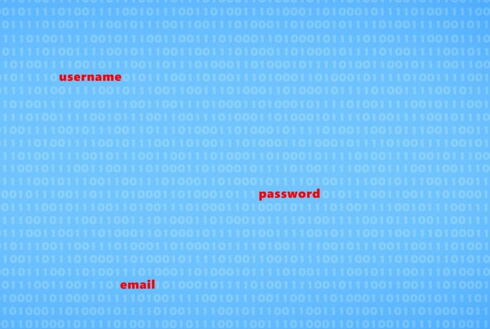 Come segnalare un sito web truffa