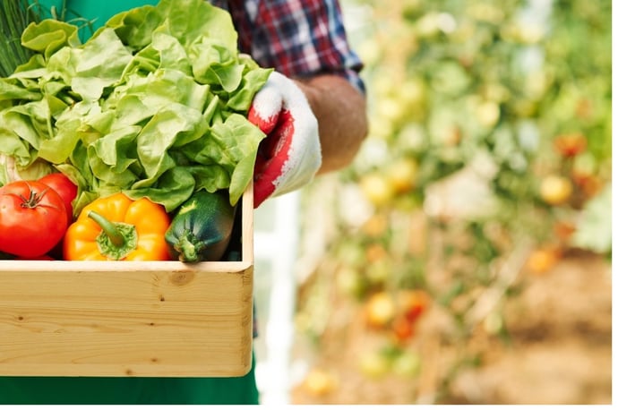Come va l'agroalimentare in Italia? Il rapporto Ismea-Qualivita 2024 su un setto