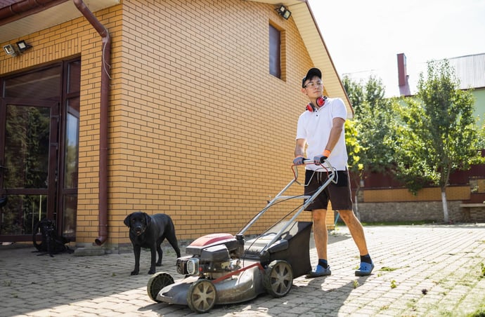 Come calcolare se altezze e distanze di alberi e piante tra 2 case confinanti ri