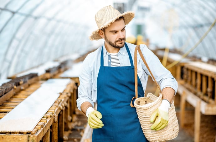 Contratto agricolo 2024, quali sono i livelli e i relativi stipendi lordi e nett