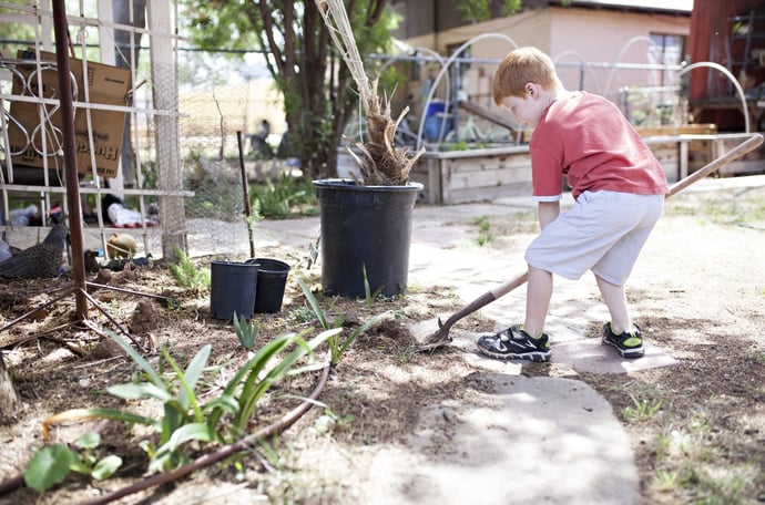 Cosa fare se vicino di casa non taglia alberi e siepi al confine?