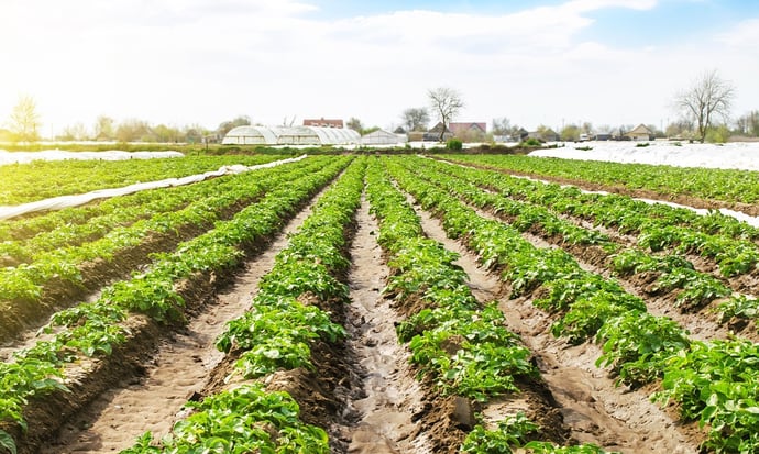 Cosa � permesso costruire sopra un terreno agricolo non edificabile