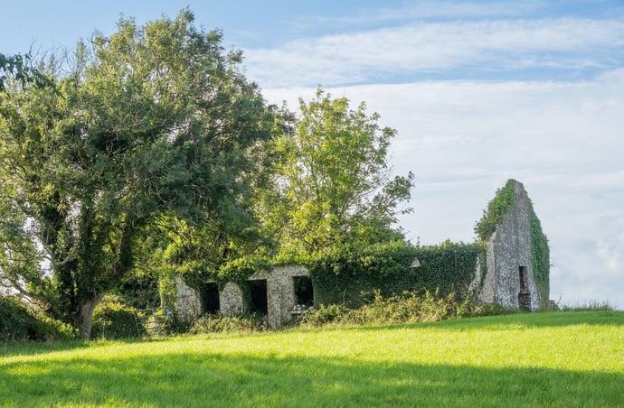 Cosa posso fare se ho un terreno abbandonato o un rudere di fianco a casa mia
