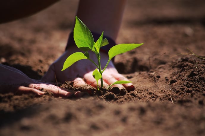 Diventare proprietario gratis di terreno agricolo o edificabile solo perch� si u