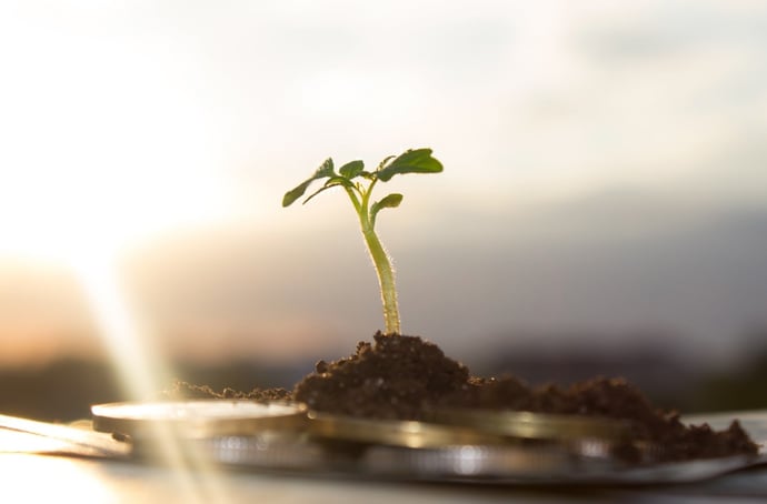 I vantaggi e gli svantaggi di investire tramite Pac (Piano accumulo capitale)
