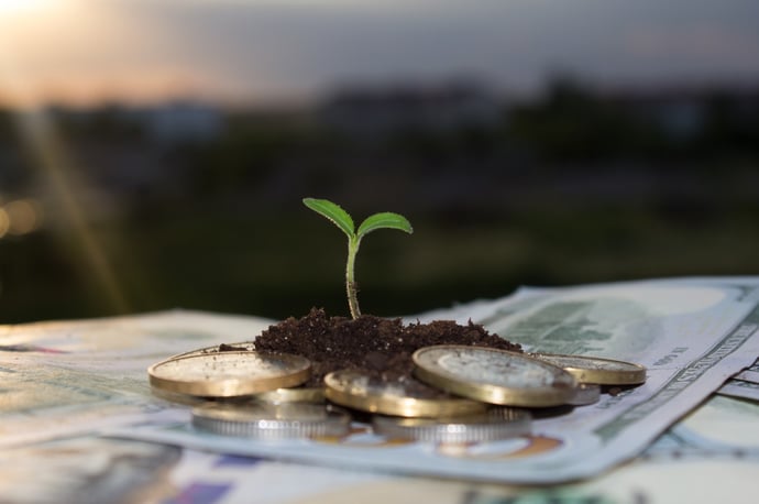 Investire nelle green economy nel 2024-2025 conviene? Previsioni e pro e contro