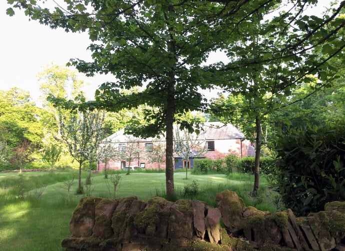 La normativa sugli alberi nei giardino di condominio in vigore attualmente