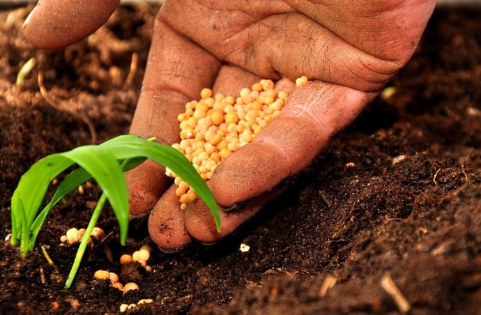 Lavorare nel settore agricolo, come funziona il contratto nazionale CCNL