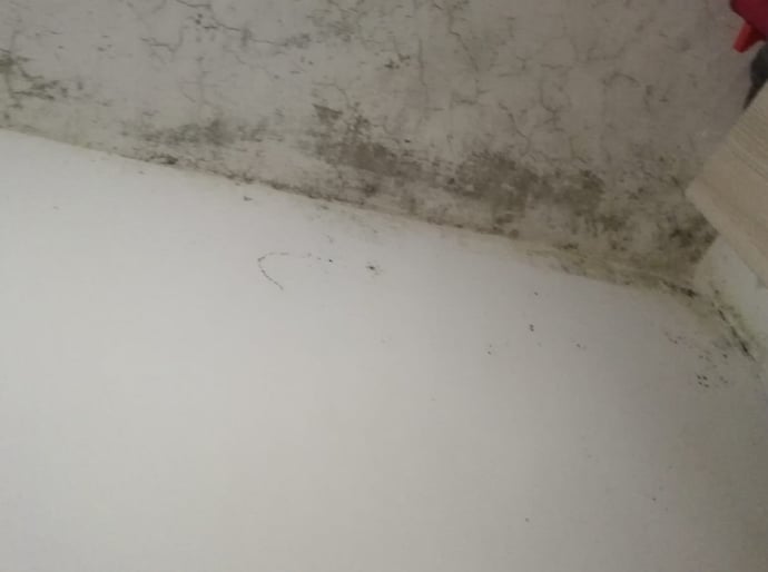 Lavori per sistemare muffa e umidit� in casa, detrazioni fiscali e incentivi 202