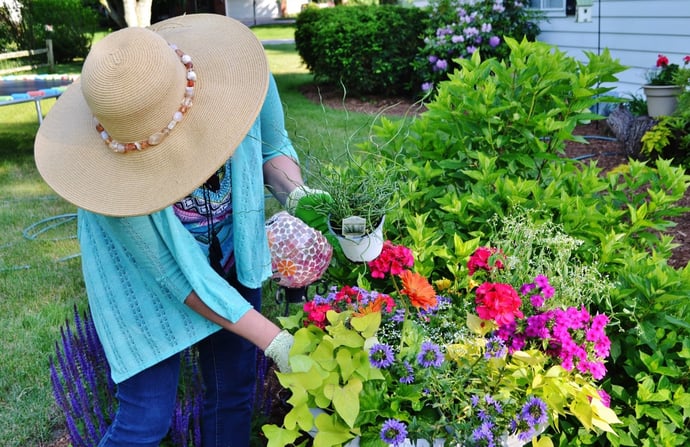 Piante e fiori da mettere nel giardino in zone pi� difficili o per risolvere pro