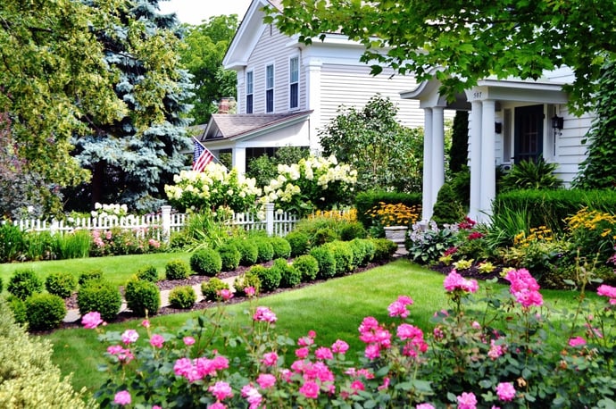 Piante, fiori e prati in giardino pi� facili e convenienti da curare e nello ste