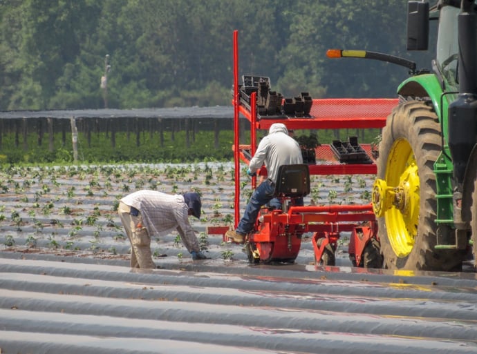Quali sono i lavori e professioni nell'agricoltura e i relativi stipendi lordi e
