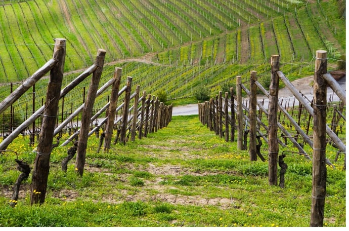 Quanto costa comprare terreno agricolo con tasse, notaio e tutte le spese aggior
