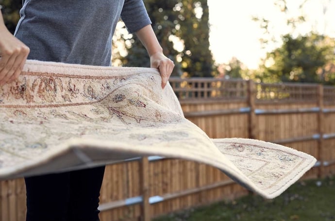 Sbattere i tappeti sul balcone si pu� fare o � vietato?