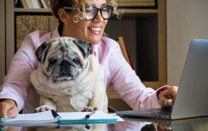 Si pu� portare un cane al lavoro? Cosa dice la normativa attuale