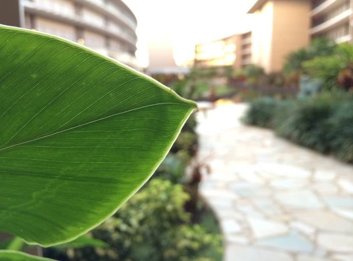 Sono necessari permessi per la pavimentazione del cortile e giardino di casa? O 