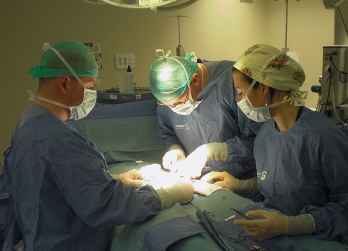 La tredicesima � prevista nel contratto CCNL 2024 medici ospedalieri? E a chi e 